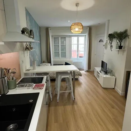 New Cosy Sereni - 4 Pax -chateau Et Terrasse 30m² Apartment Lourdes